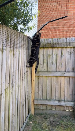Protegemos tus patios y jardines