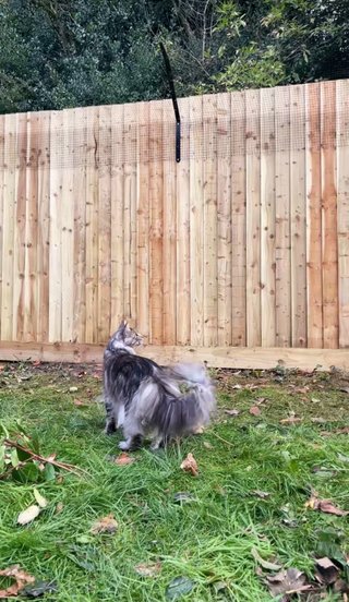 Protegemos tus patios y jardines