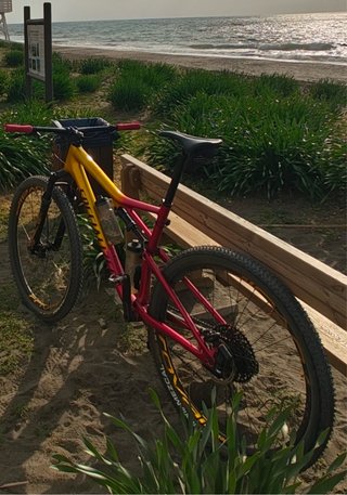Specialized Epic Expert Carbono Talla:XL Sram AXS