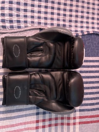 Guantes de Boxeo/Muay Thai Last Round