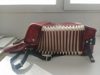 Acordeón Infantil Rojo.