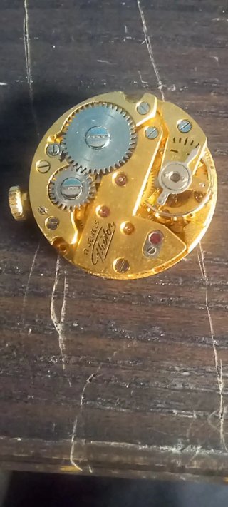 Movimento WINTON 17 Jewels Vintage FUNZIONANTE - C
