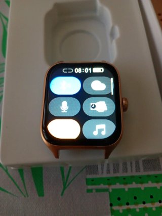 Reloj WS Modelo 1 Dorado y Rosa