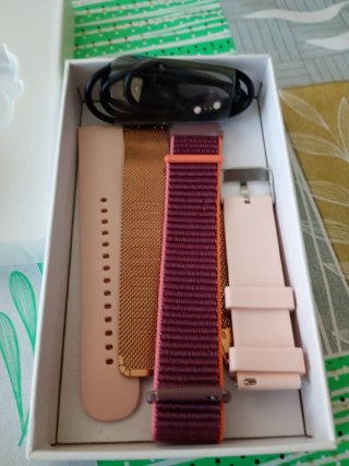 Reloj WS Modelo 1 Dorado y Rosa