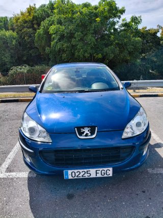 Peugeot 407 2006