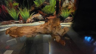 Acuario 80L con mueble y deco
