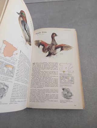 El libro de las aves de España. Reader's Digest