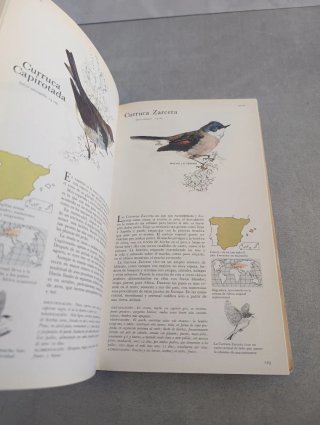 El libro de las aves de España. Reader's Digest