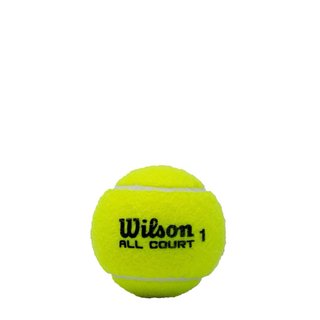 Pelotas de Tenis Wilson All Court Roland Garros