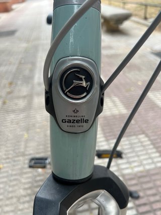 Bicicleta Gazelle