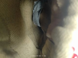 Bolso Zara Cesta Abalorios Flores Pájaros