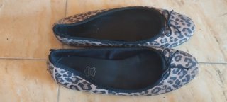Bailarinas ante leopardo piel talla 40
