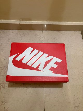 Nike Dunk Panda (Negro y Blanco)