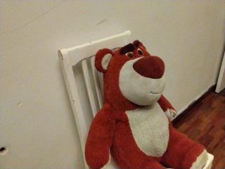 Peluche Lotso Disneyland