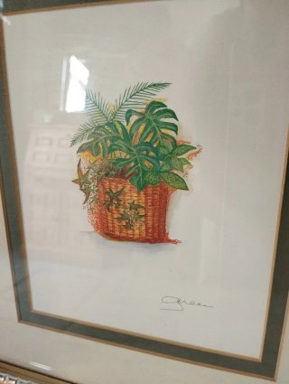 Pareja de grabados de plantas en maceta