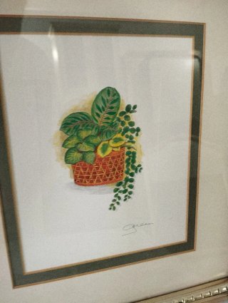 Pareja de grabados de plantas en maceta