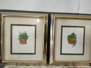 Pareja de grabados de plantas en maceta
