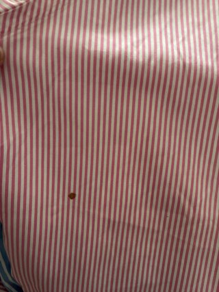 2 Camisas Polo Ralph Lauren Rayas