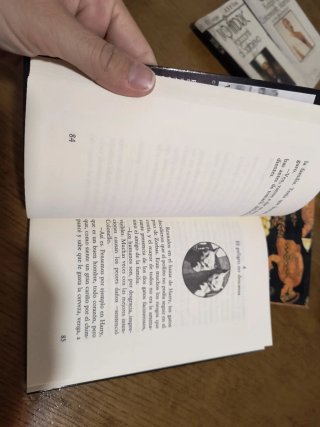 Historia de una gaviota y del gato que le ensen...