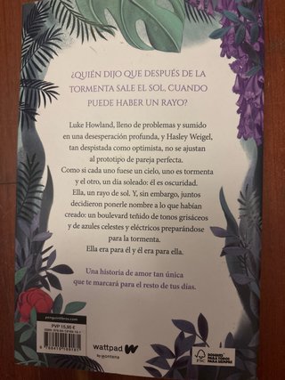 Boulevard La versión de Flor. Libro 1