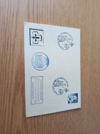 Postal II Expo Scout Madrid 1989 Tejones Españoles