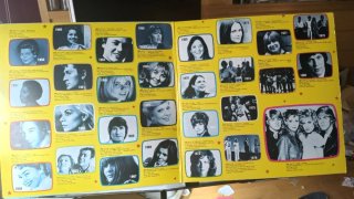 Doble LP Eurovision Gala 29 Winners