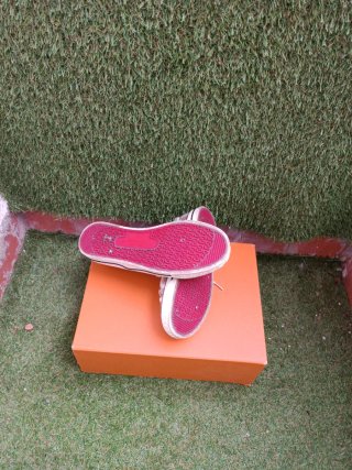 Zapatillas Gucci Beige y Verde