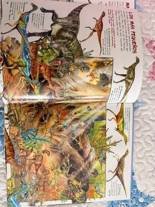 Libro infantil Busca los Dinosaurios