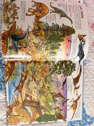 Libro infantil Busca los Dinosaurios