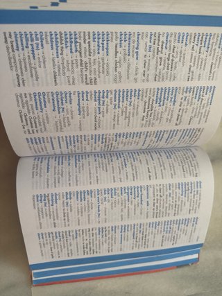 Diccionario Primaria lengua española Editorial VOX