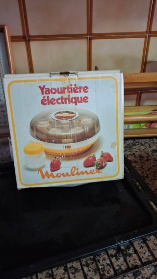 Yogurtera Eléctrica Moulinex Antigua