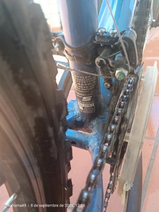 Bicicleta infantil azul