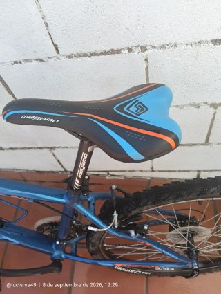 Bicicleta infantil azul