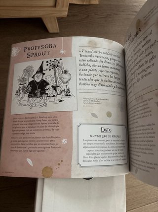Harry Potter: Un viaje por la historia de la ma...