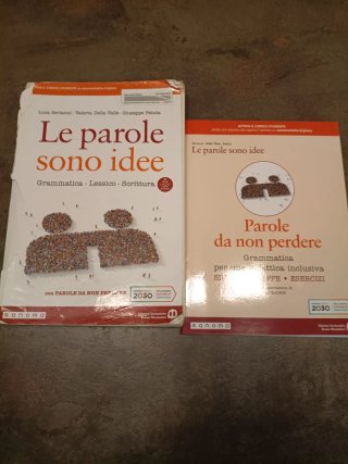 Le parole sono idee. Grammatica, lessico, scrit...