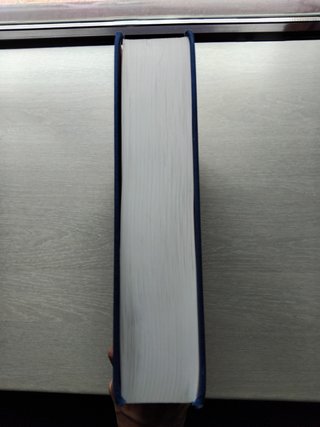 The Handbook of brain theory and neural networks