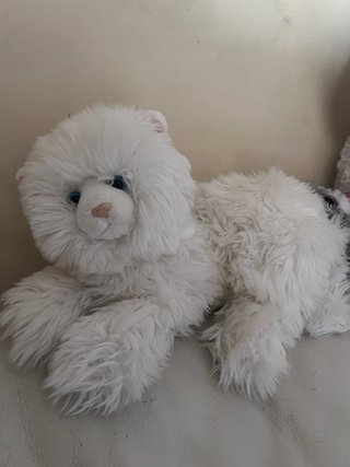 Lote 3 peluches gatos