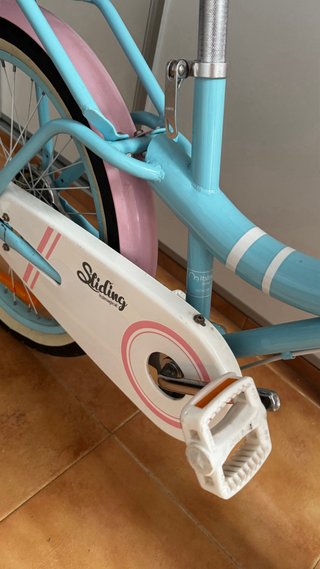 Bicicleta infantil 20 azul y rosa