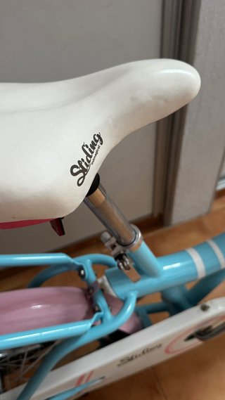 Bicicleta infantil 20 azul y rosa