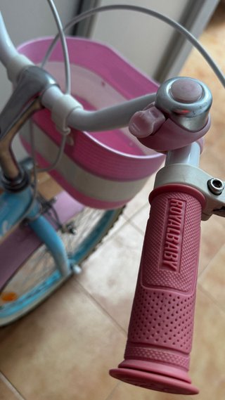 Bicicleta infantil 20 azul y rosa