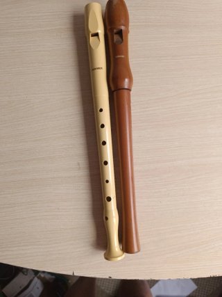 Flauta escolar HOHNER