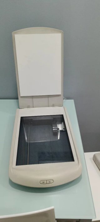 Scanner HP Scanjet 2400 Piano Digitale