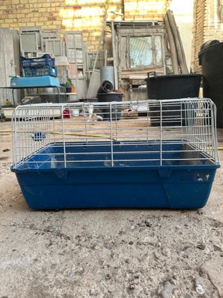 Jaula para mascotas azul