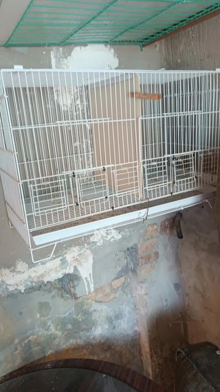 X2 Jaula doble para pájaros blanca