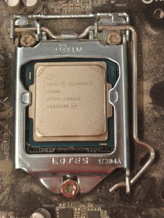 Placa Base ASRock H110M-DGS + Intel Celeron G3900