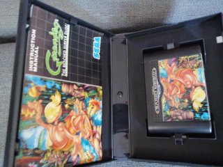 Greendog Mega Drive Sega
