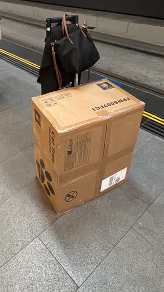 Rascador XXL para gatos