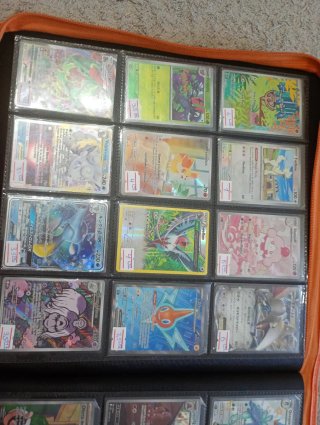 Album de cartas pokemon SE VENDE Y SE CAMBIA