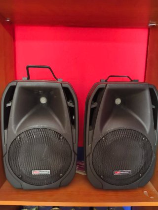 Altavoces Mark MBS 82 300W 8 Ohm