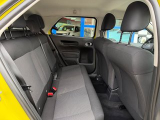Citroën C4 Cactus BlueHDi 73KW (100CV) ETG6 Shine Edition